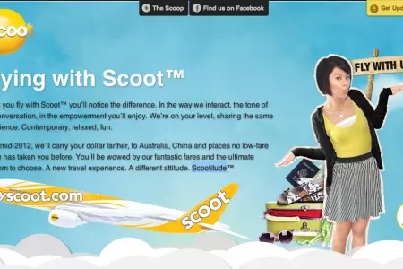 Scoot Airlines Singapore Airlines