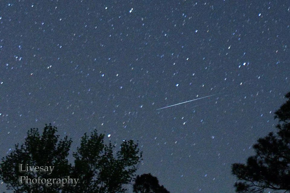Draconid Meteor Shower 2016 Photos (3)